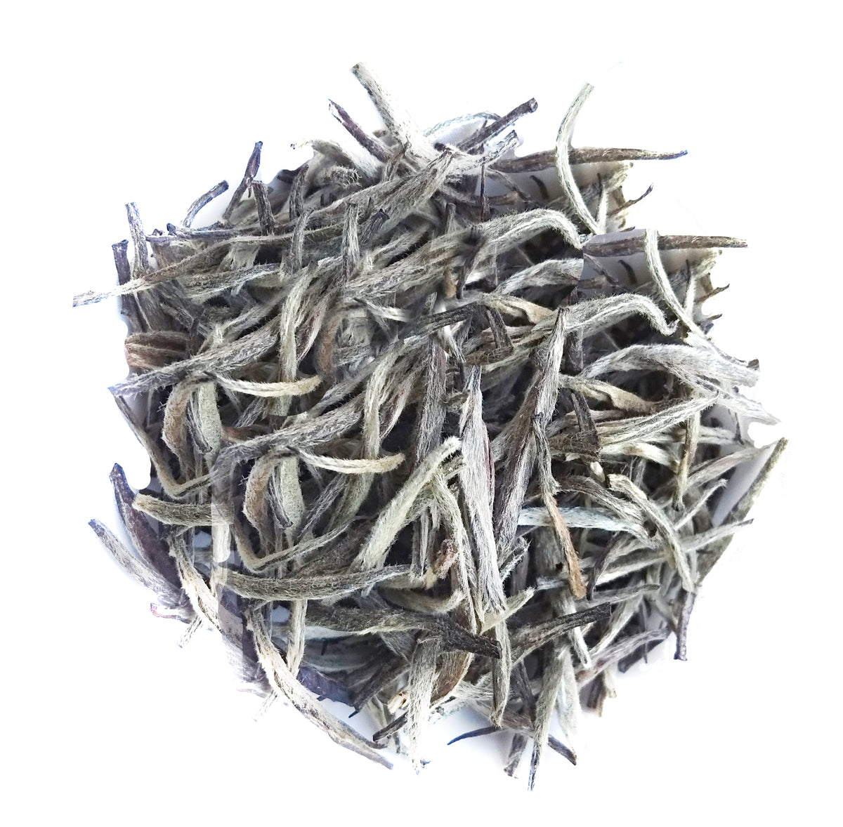 Darjeeling Silver Needle Assamica Agro