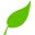 logo of Assamica Agro - Green Tea, Assam Tea, Chamomile Tea, Herbal Tea
