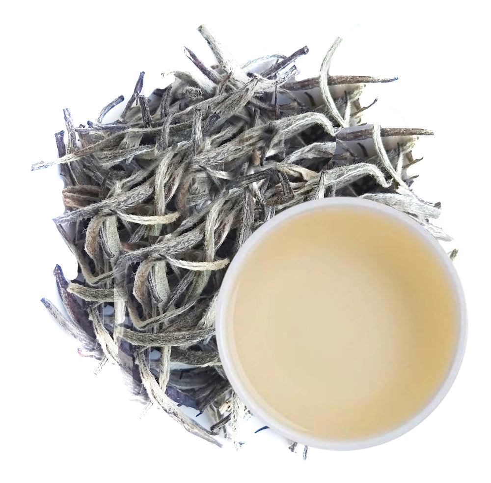 Darjeeling Silver Needle