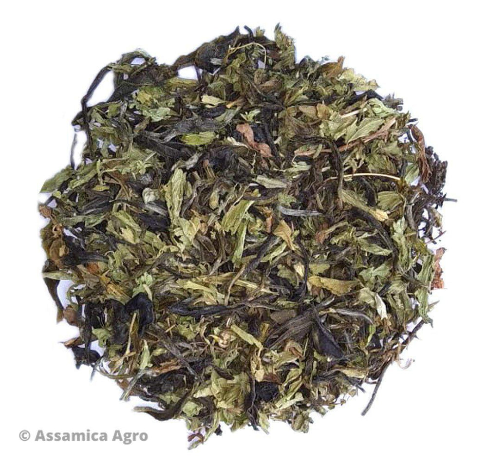 
                  
                    Load image into Gallery viewer, Salubrious Stevia Green Tea
                  
                