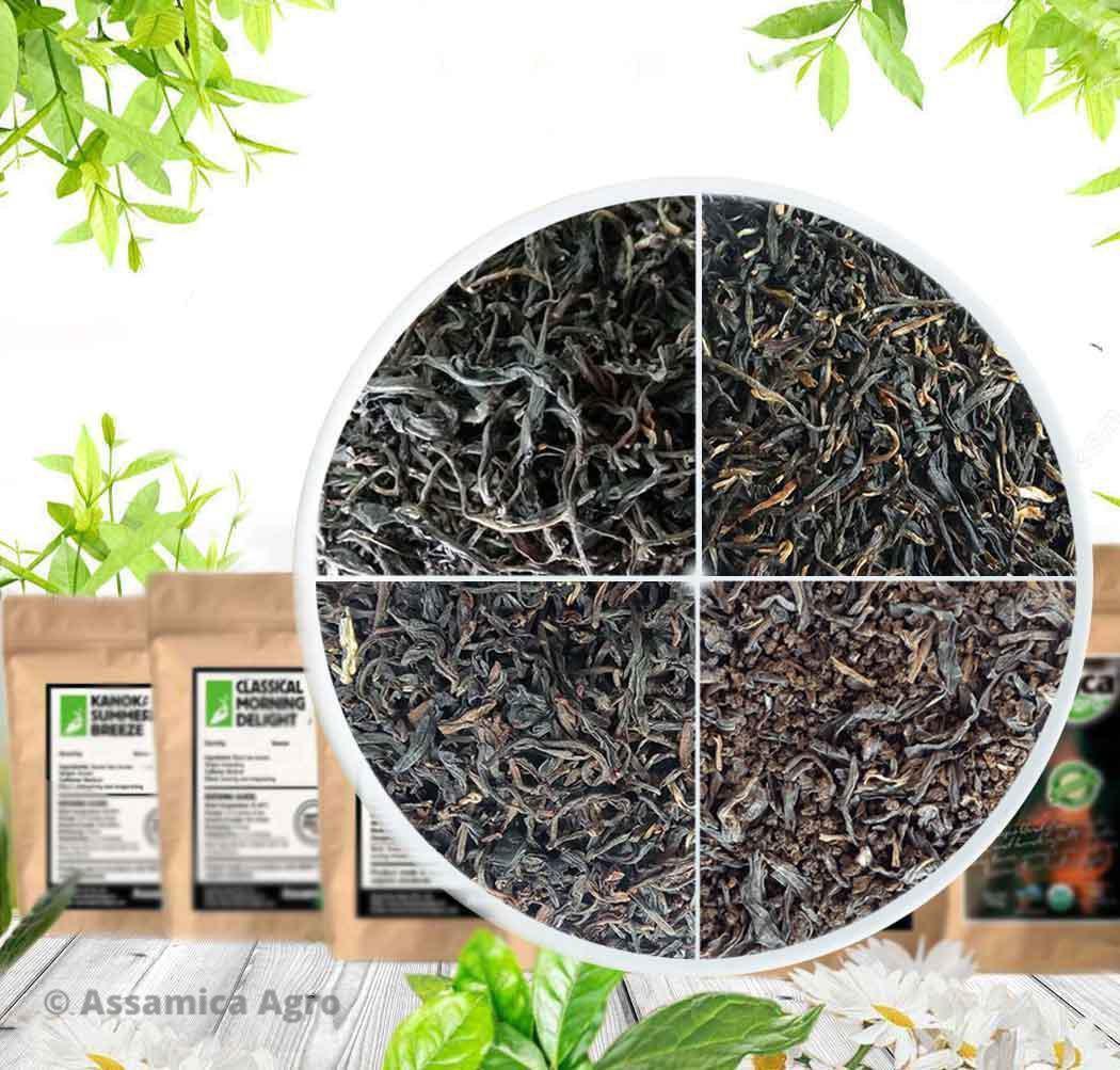 Buy Organic Tea Online, Loose Leaf Organic Assam Teas - Assamica Agro