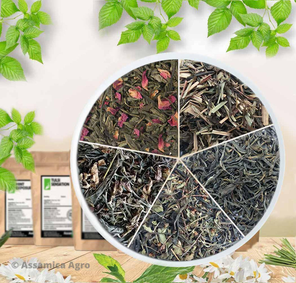 Loose Organic Green Tea Leaves - Combo